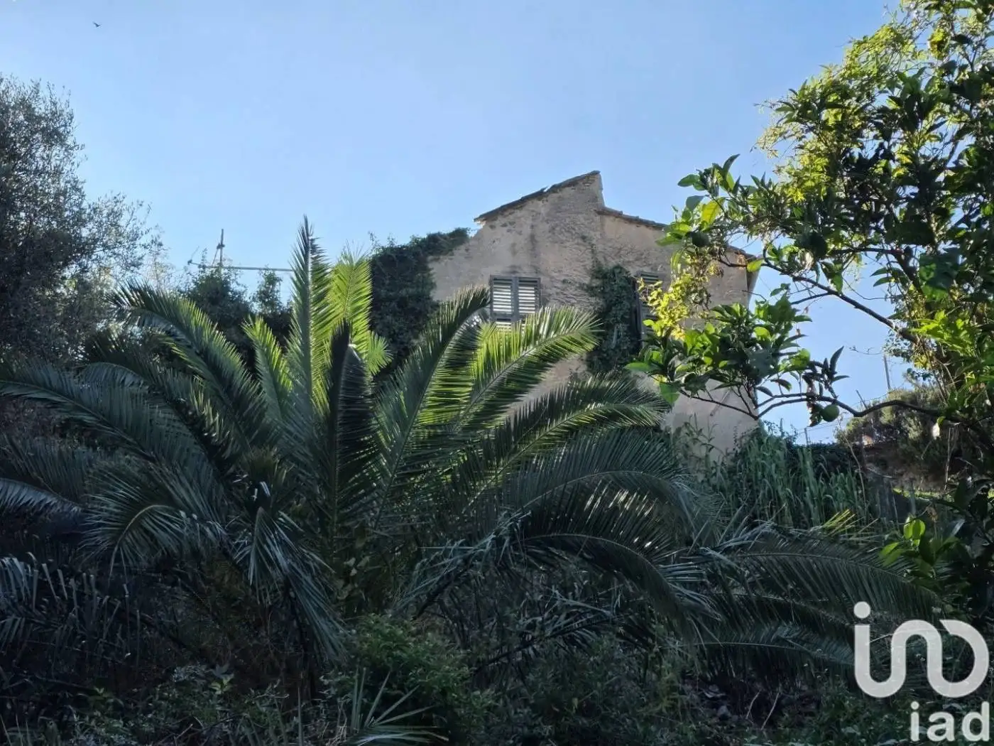 Rustico - Casale in vendita a Quiliano