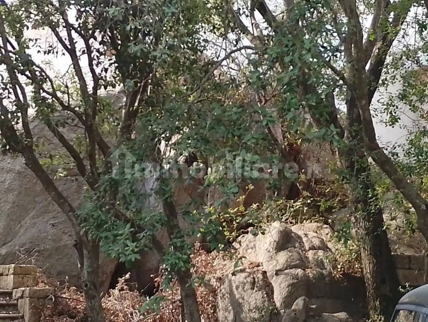 Villa unifamiliare via Falchittu, Santa Lucia, Olbia - foto 4