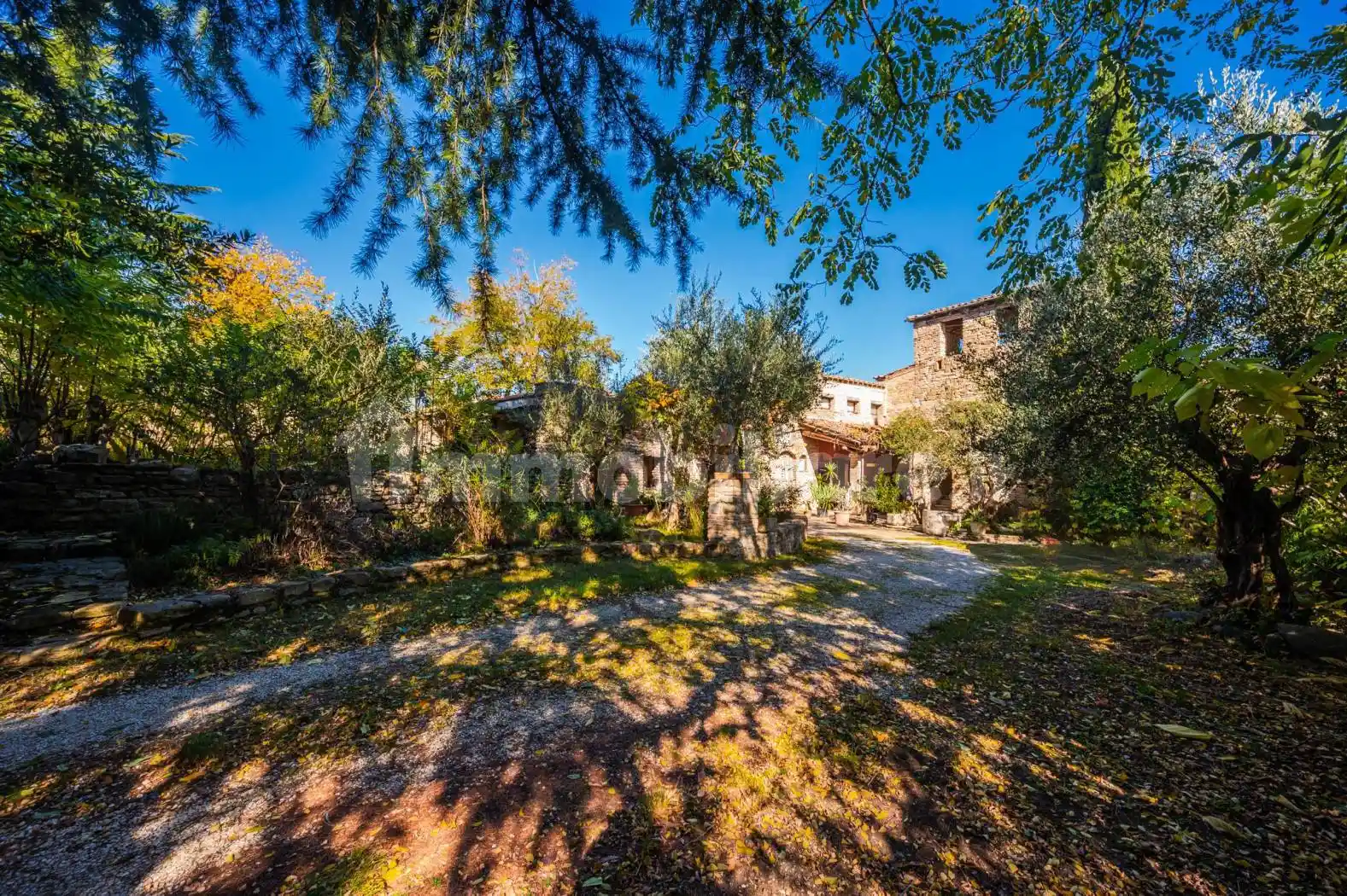 Casa colonica via Saiano 575, Carpineta, Cesena - foto 5