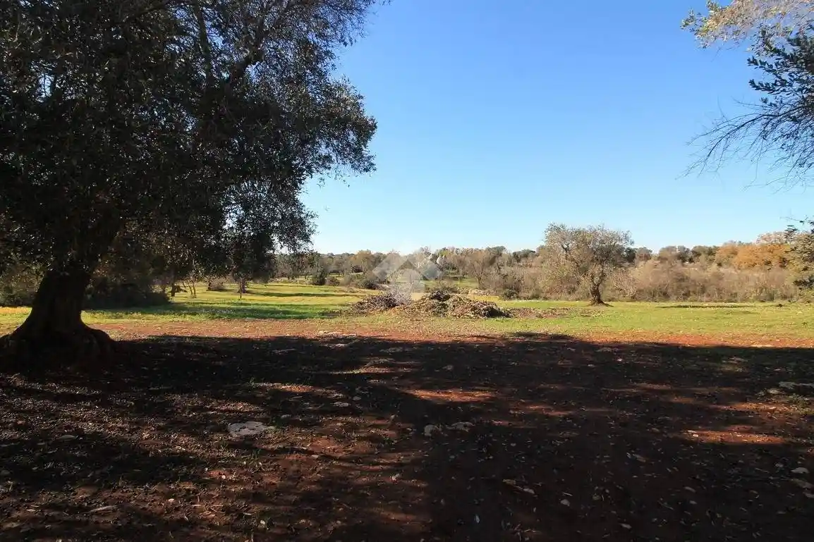 Casa colonica, da ristrutturare, 30 m², Via Pola, Via Papa Giovanni XXIII, Ostuni - foto 2