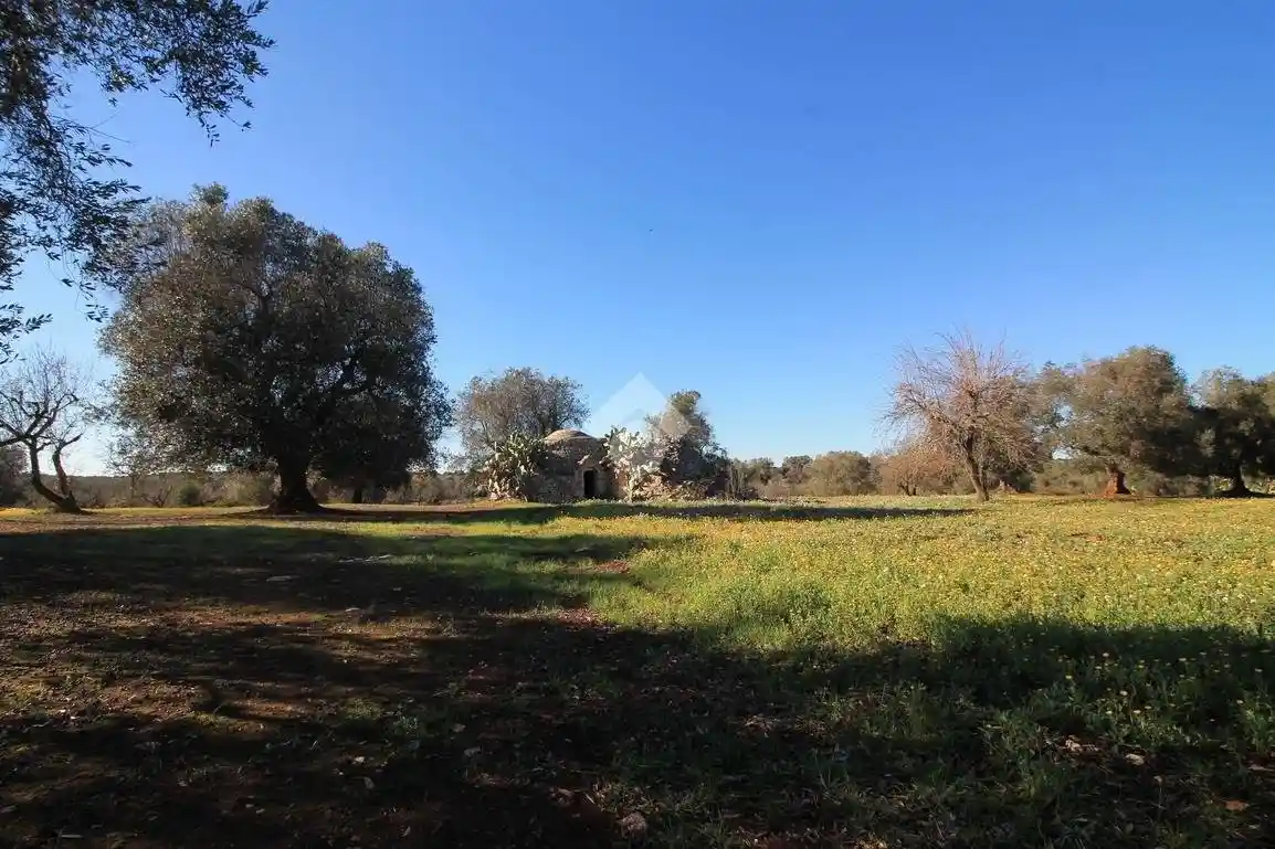 Casa colonica, da ristrutturare, 30 m², Via Pola, Via Papa Giovanni XXIII, Ostuni - foto 3