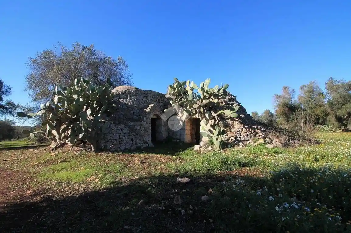 Casa colonica, da ristrutturare, 30 m², Via Pola, Via Papa Giovanni XXIII, Ostuni - foto 4
