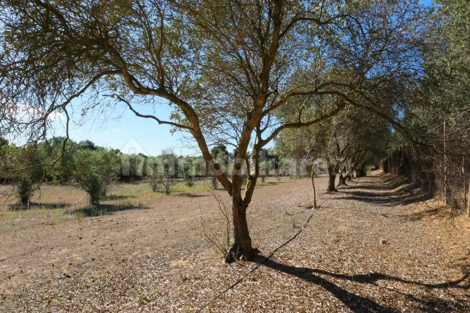 Rustico SS126dir, Calasetta - foto 2