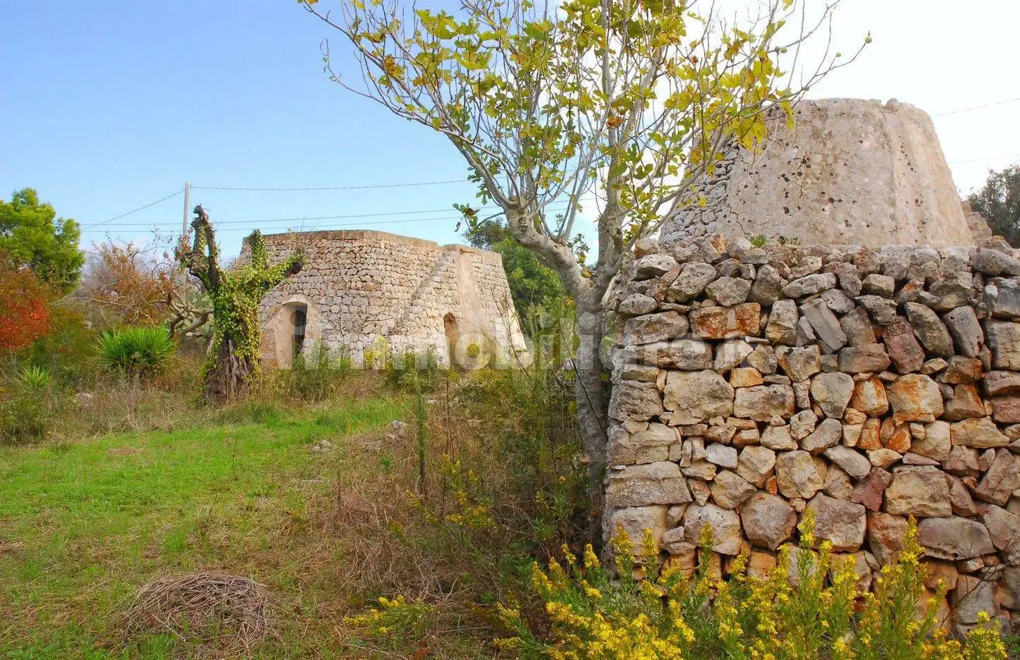 Rustico - Casale in vendita a Morciano di Leuca
