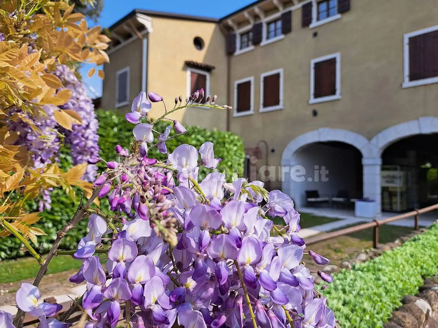 Appartamento in affitto a Pescantina