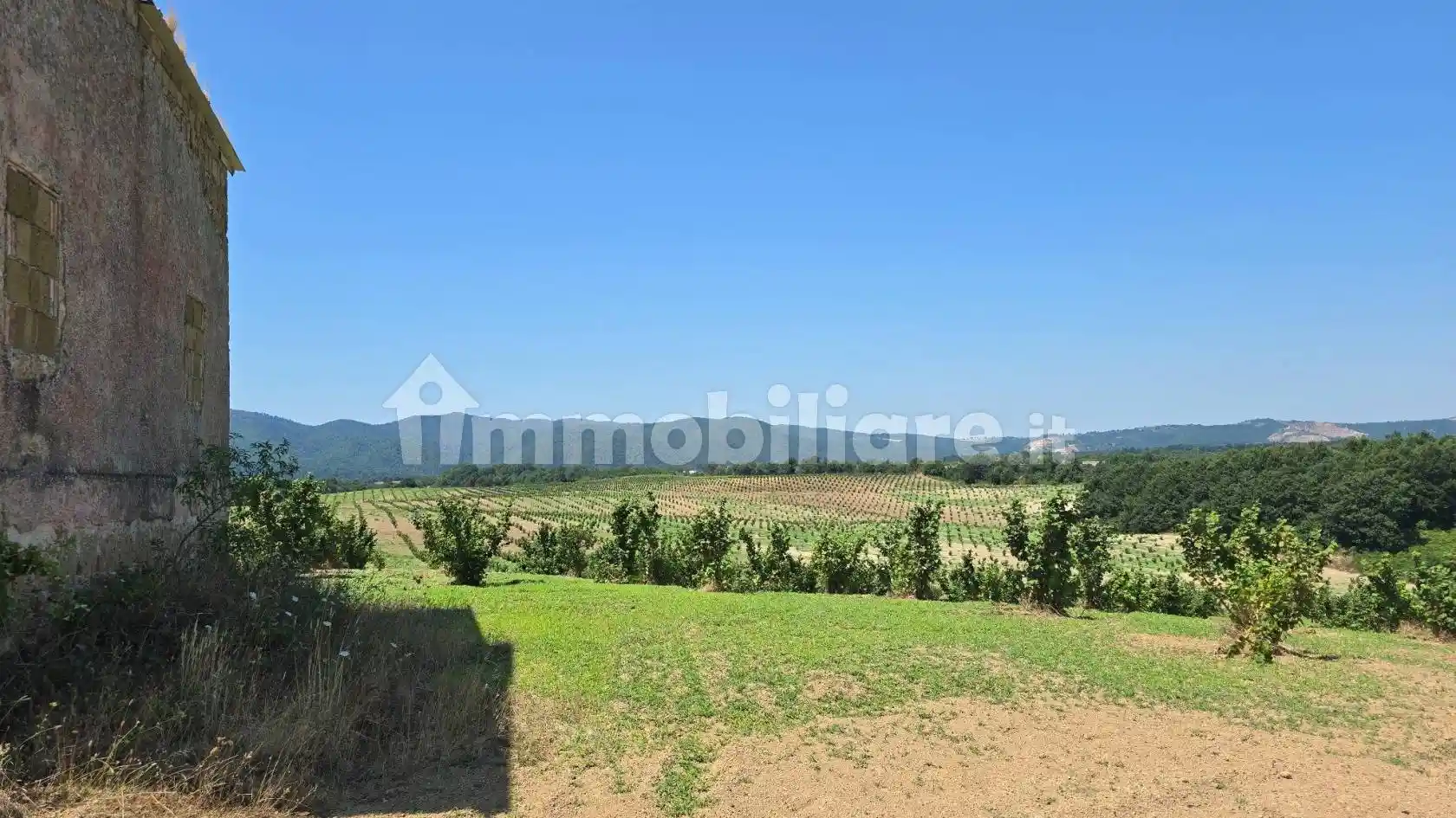 Casale Strada Provinciale Lamone, Farnese - foto 4