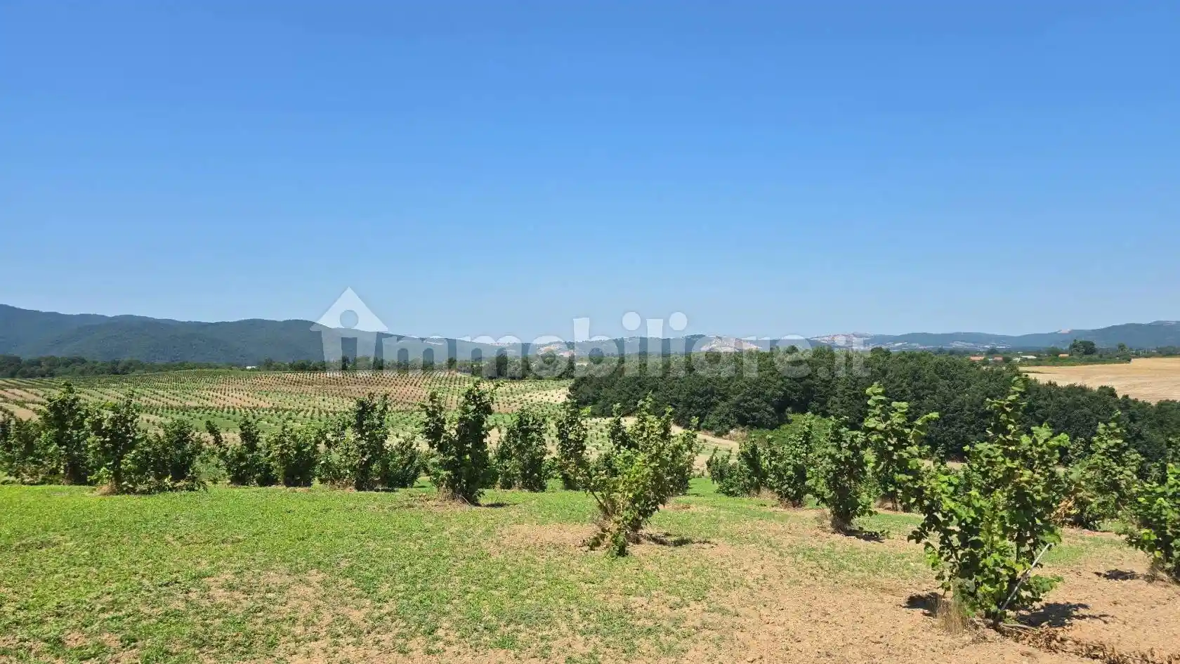 Casale Strada Provinciale Lamone, Farnese - foto 5