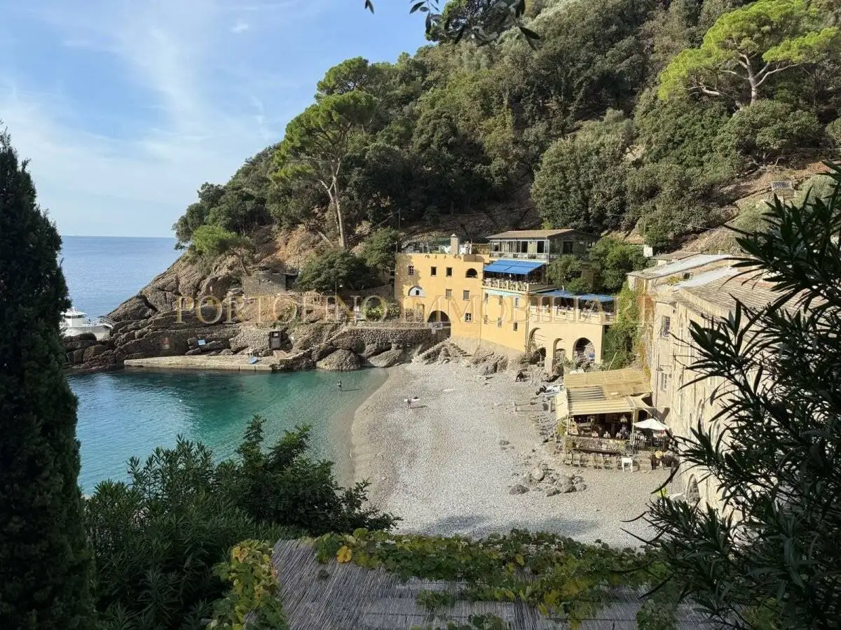 Quadrilocale via San Fruttuoso, Monte di Portofino - San Fruttuoso, Camogli - foto 3