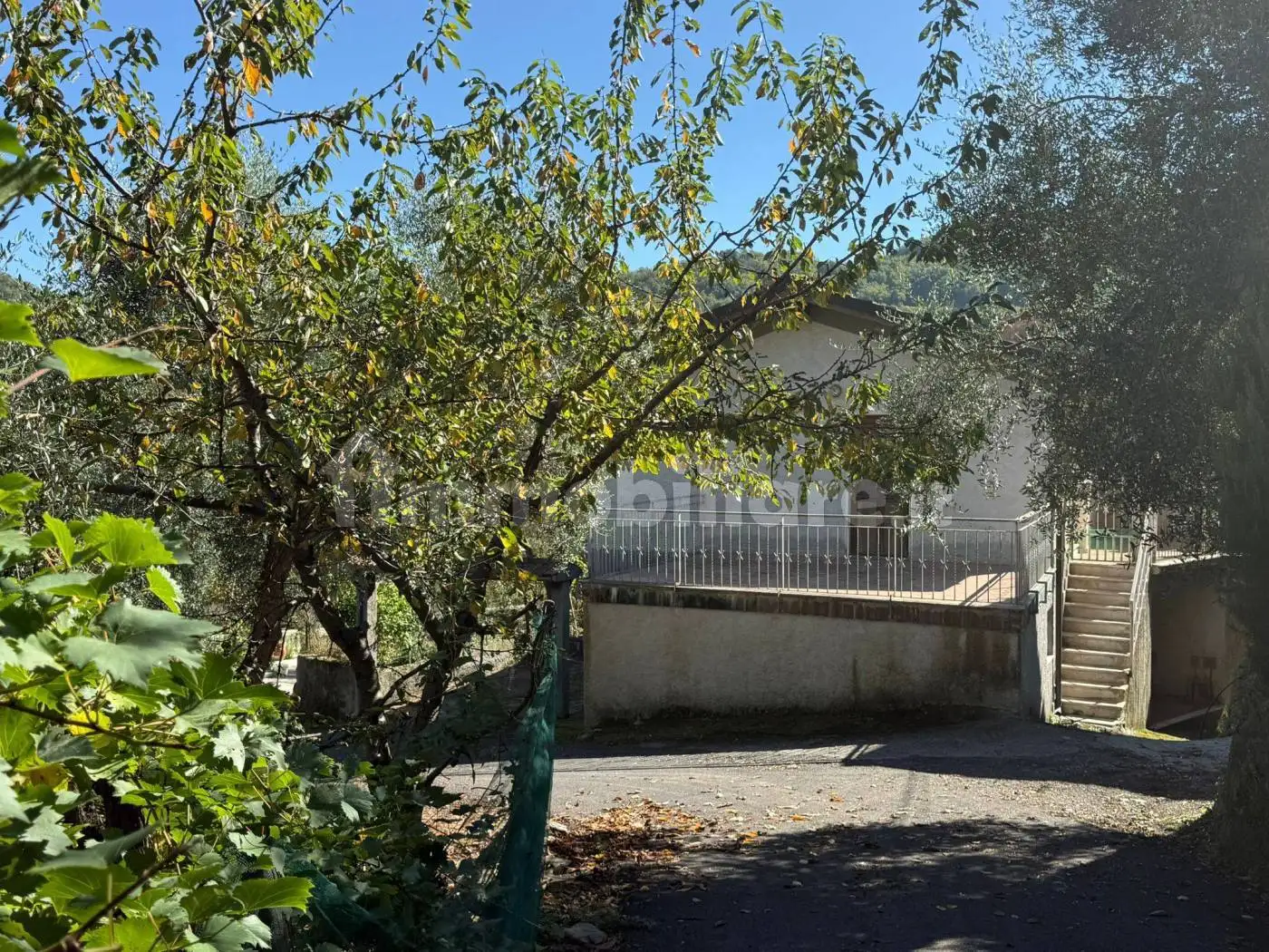 Villa in vendita a Testico