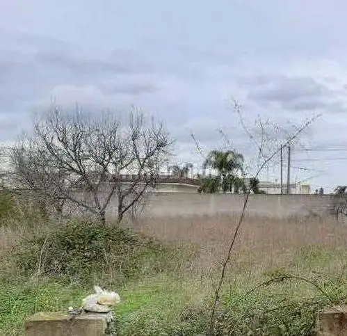 Palazzo - Stabile - foto 4