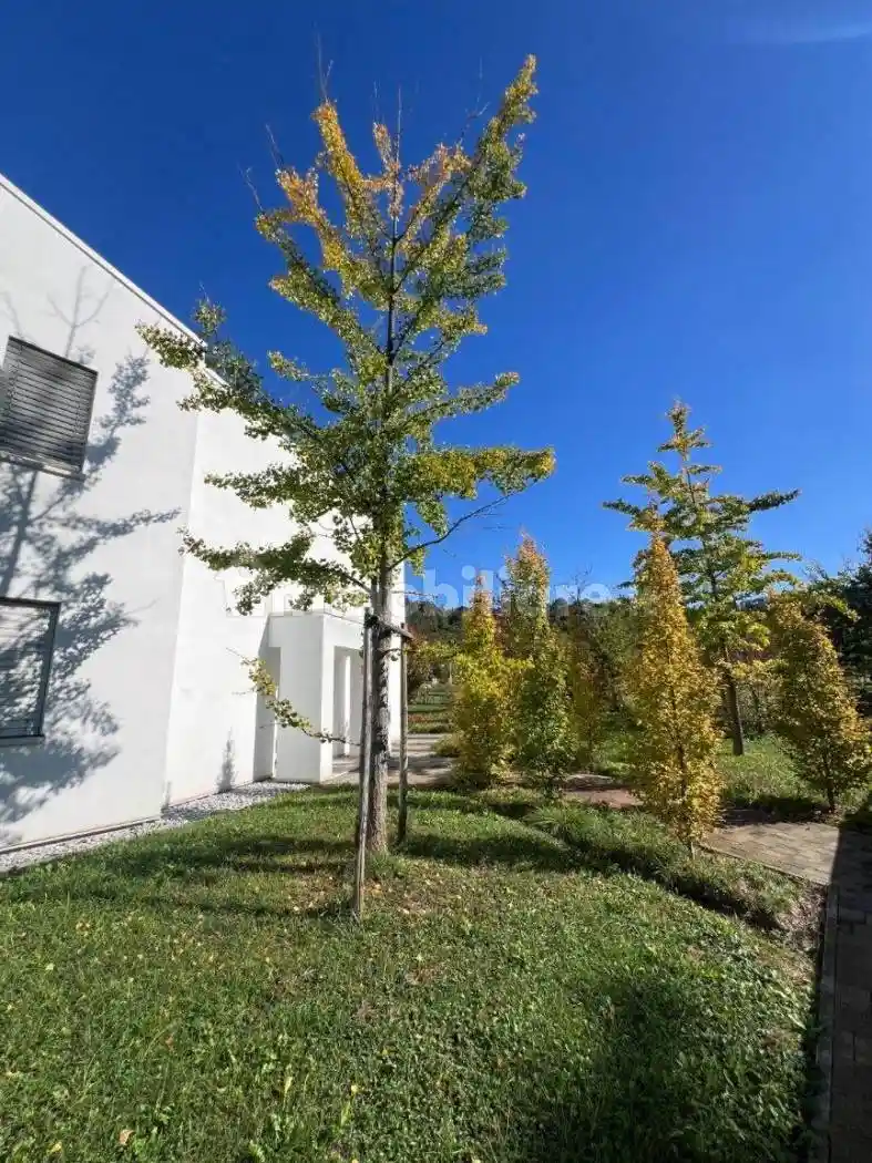 Appartamento Strada di Gogna, Monte Berico, Vicenza - foto 4