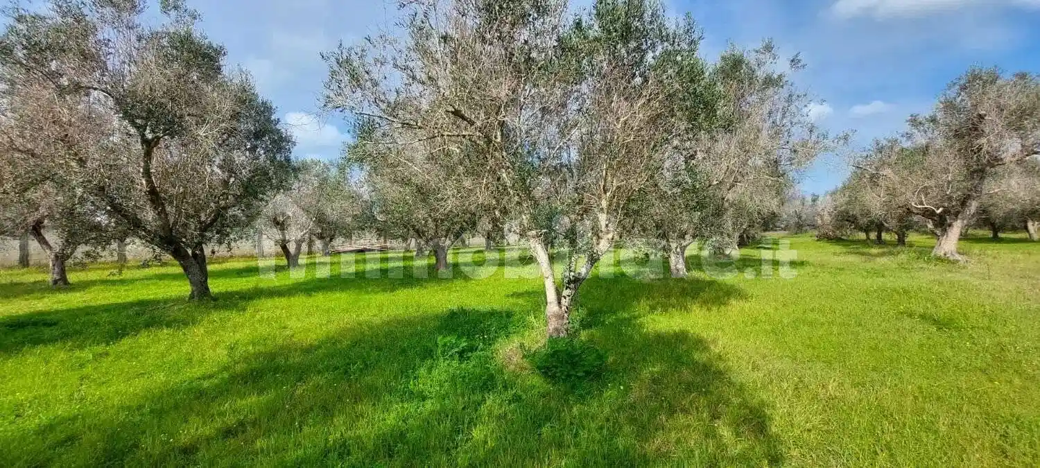 Villa in vendita a Lizzanello