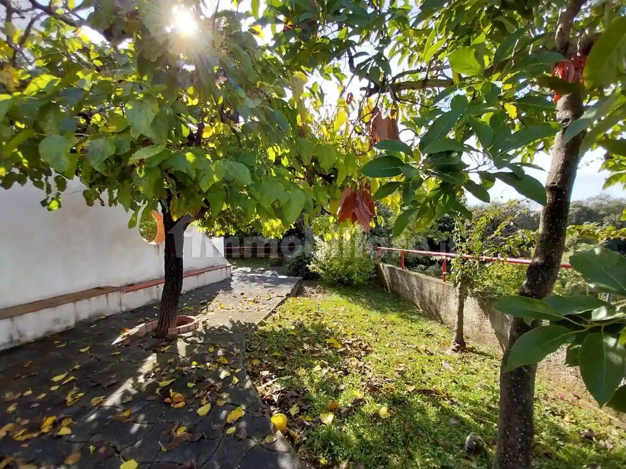 Appartamento Contrada Riviere, Cucco Riviere, Diamante - foto 2