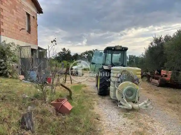 Rustico - Casale - foto 3