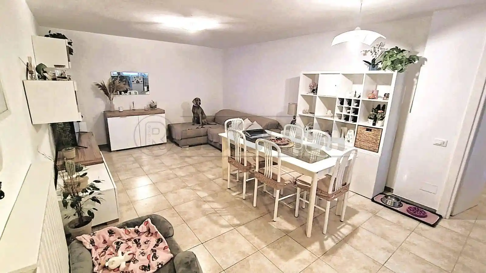 Appartamento in vendita a Carrara