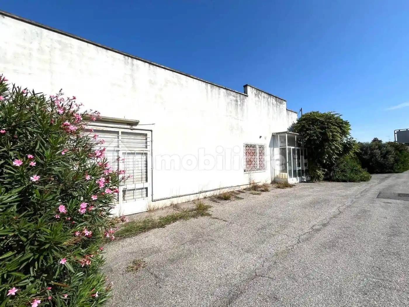 Villa in vendita a Legnago