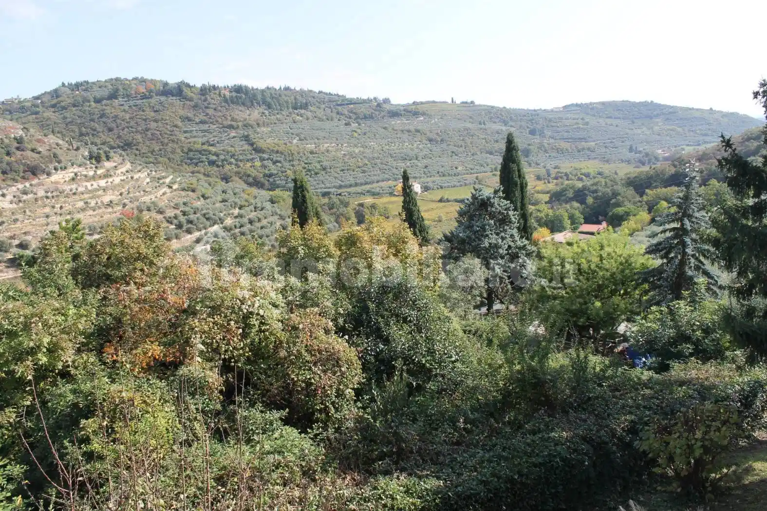 Villa in vendita a Negrar di Valpolicella