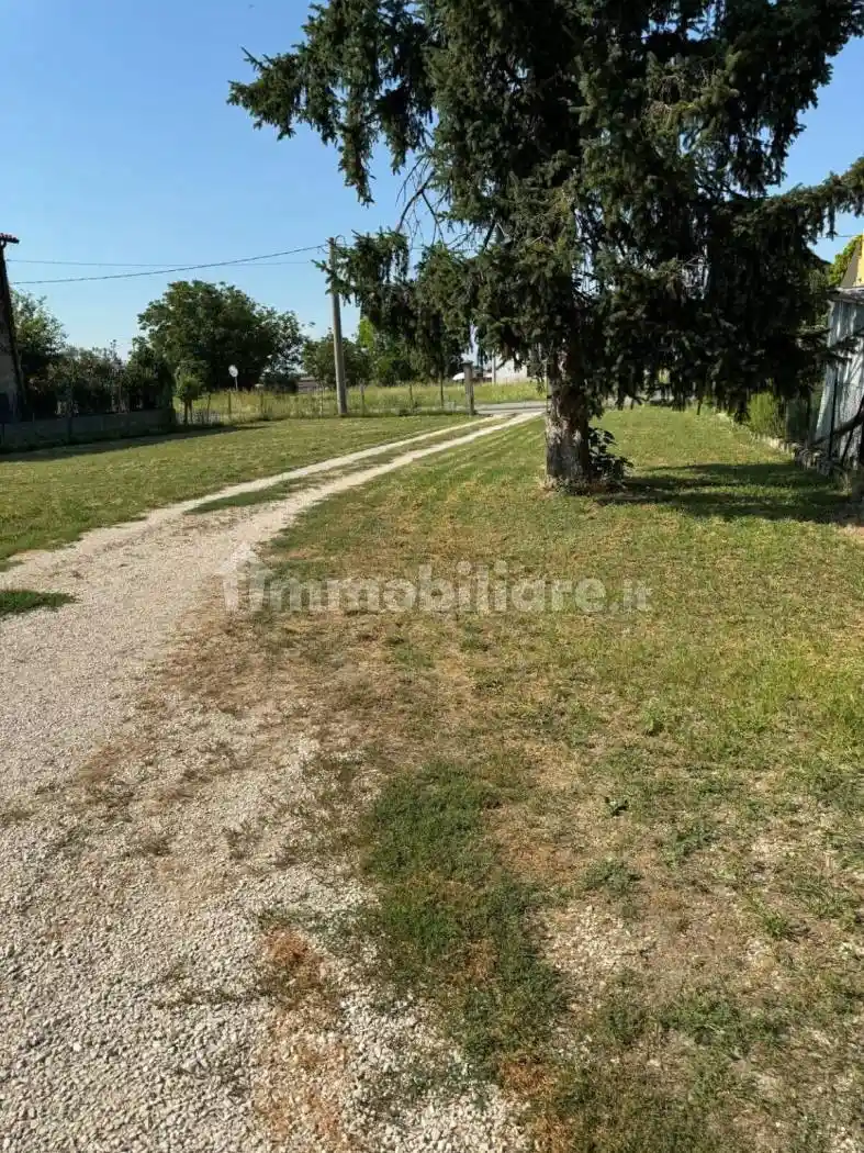 Casale San Pietro Martire 36, Villamarzana - foto 5