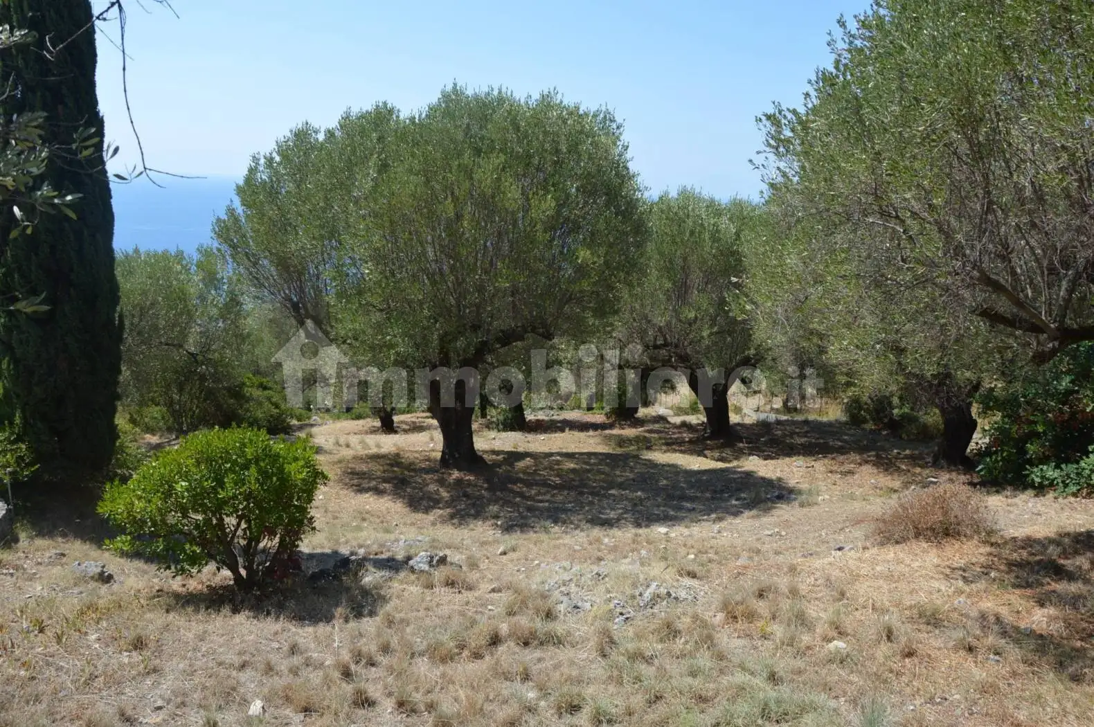 Villa bifamiliare via Monte di Luna, Camerota - foto 4