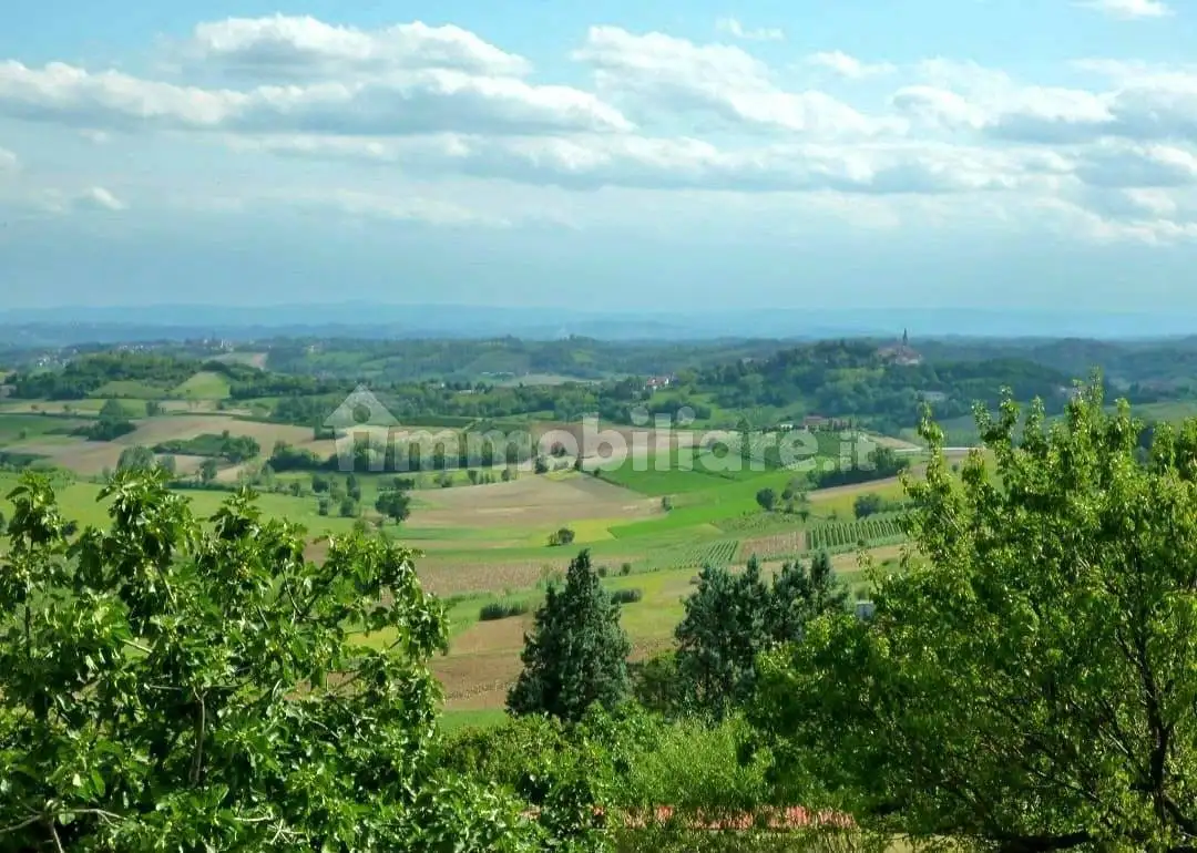 Rustico - Casale in vendita a Alfiano Natta