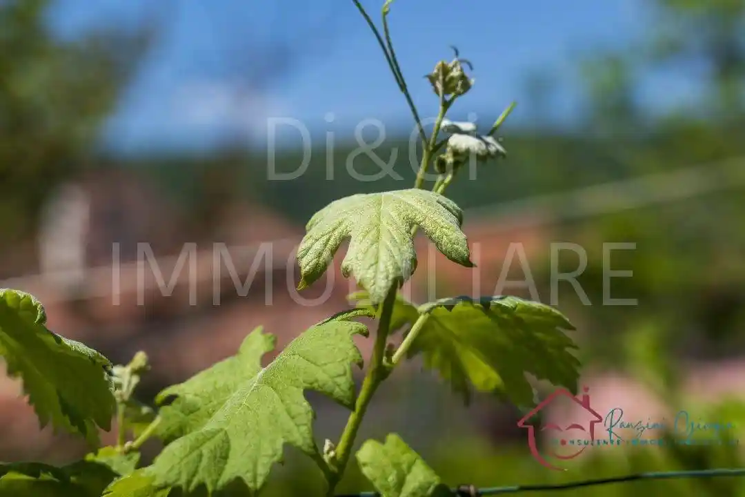 Trilocale frazione Leuso 14/A, Vendone - foto 2