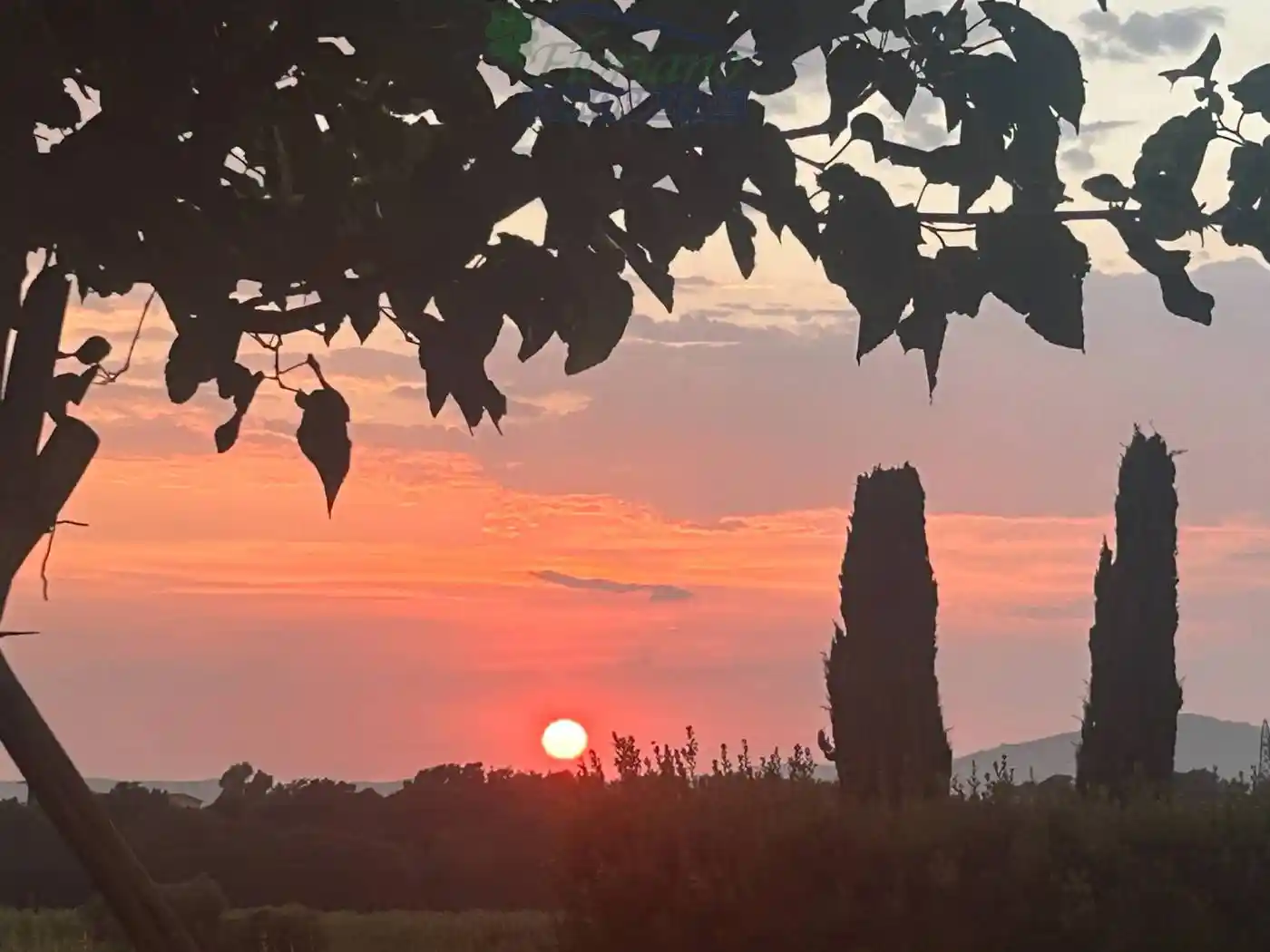 Villa in vendita a Capalbio