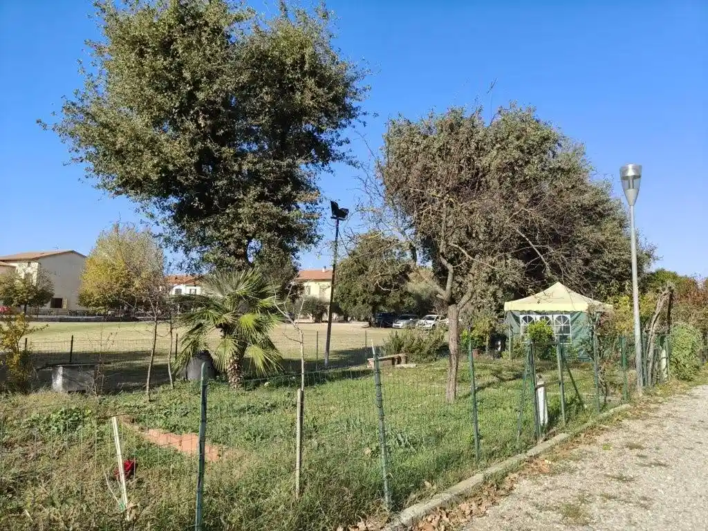 Quadrilocale buono stato, primo piano, Contrada Mulino, Castiglione del Lago - foto 3