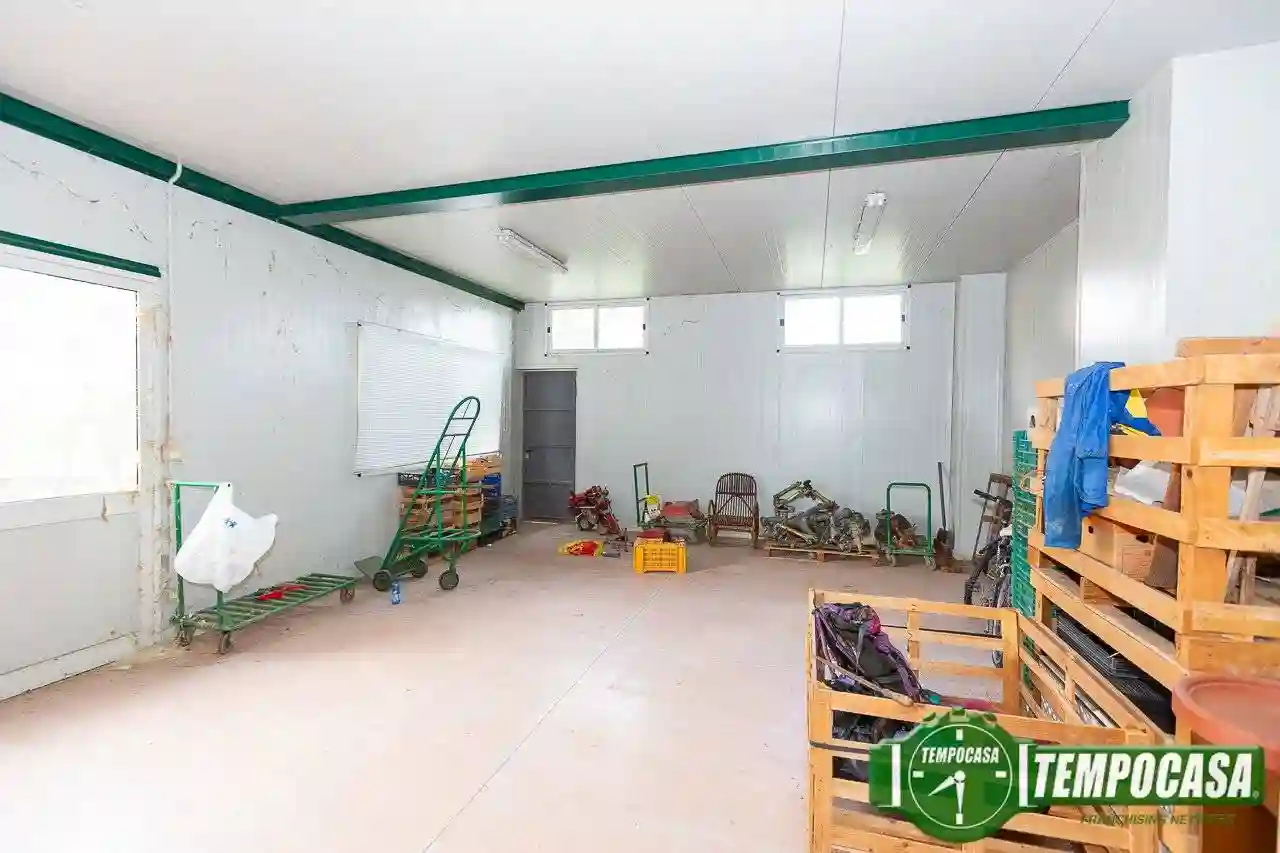 Palazzo - Edificio - foto 5