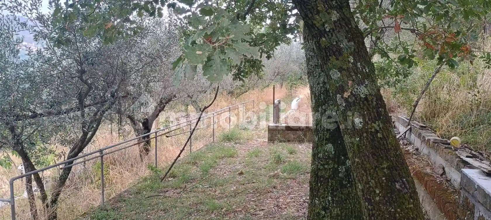 Villa unifamiliare via Guglielmo Marconi 141, Centro, Campoli Appennino - foto 5