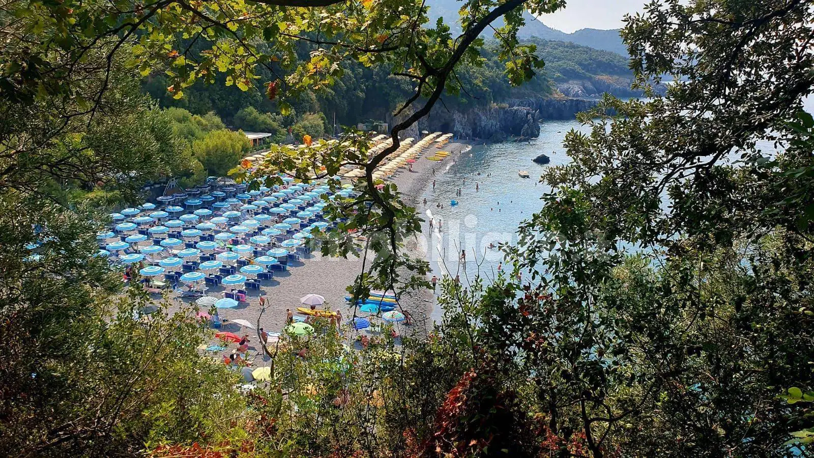 Appartamento in vendita a Lauria