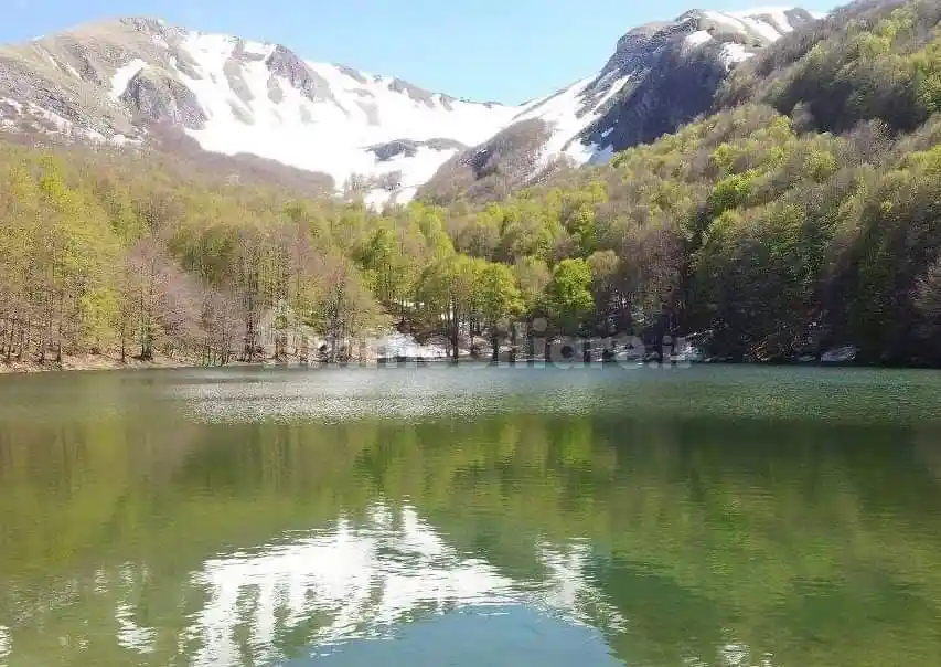 Appartamento via Roma 90, Centro, Lauria - foto 2