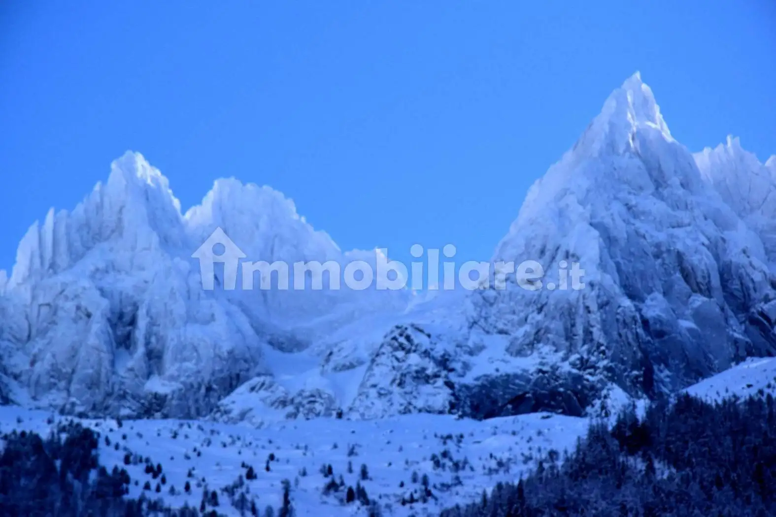 Appartamento in affitto a Courmayeur