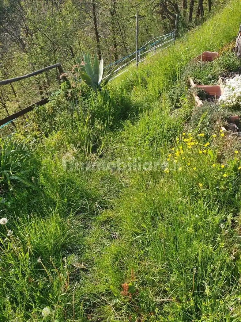 Villa in vendita a Serra Riccò