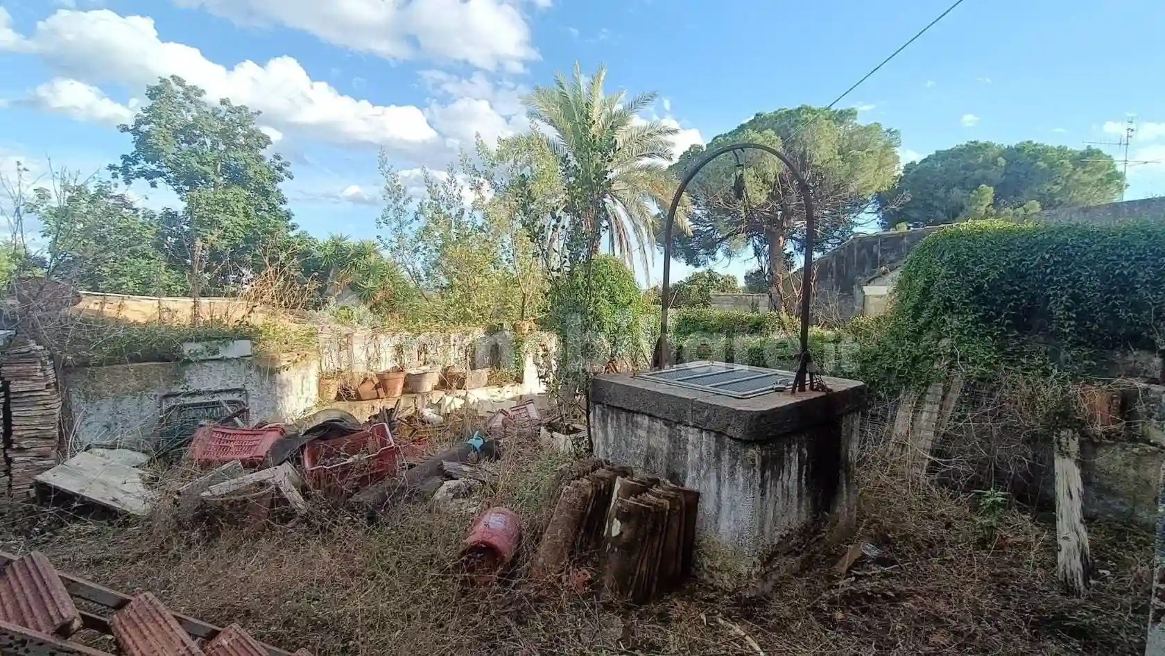 Palazzo - Edificio - foto 3