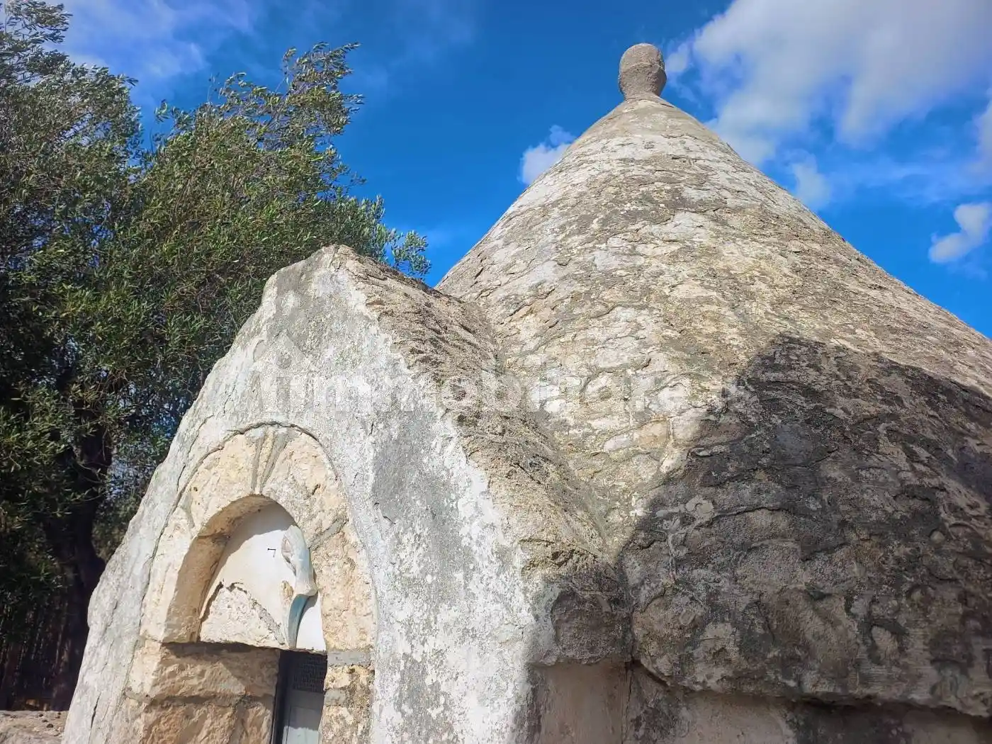 Rustico - Casale in vendita a Polignano a Mare