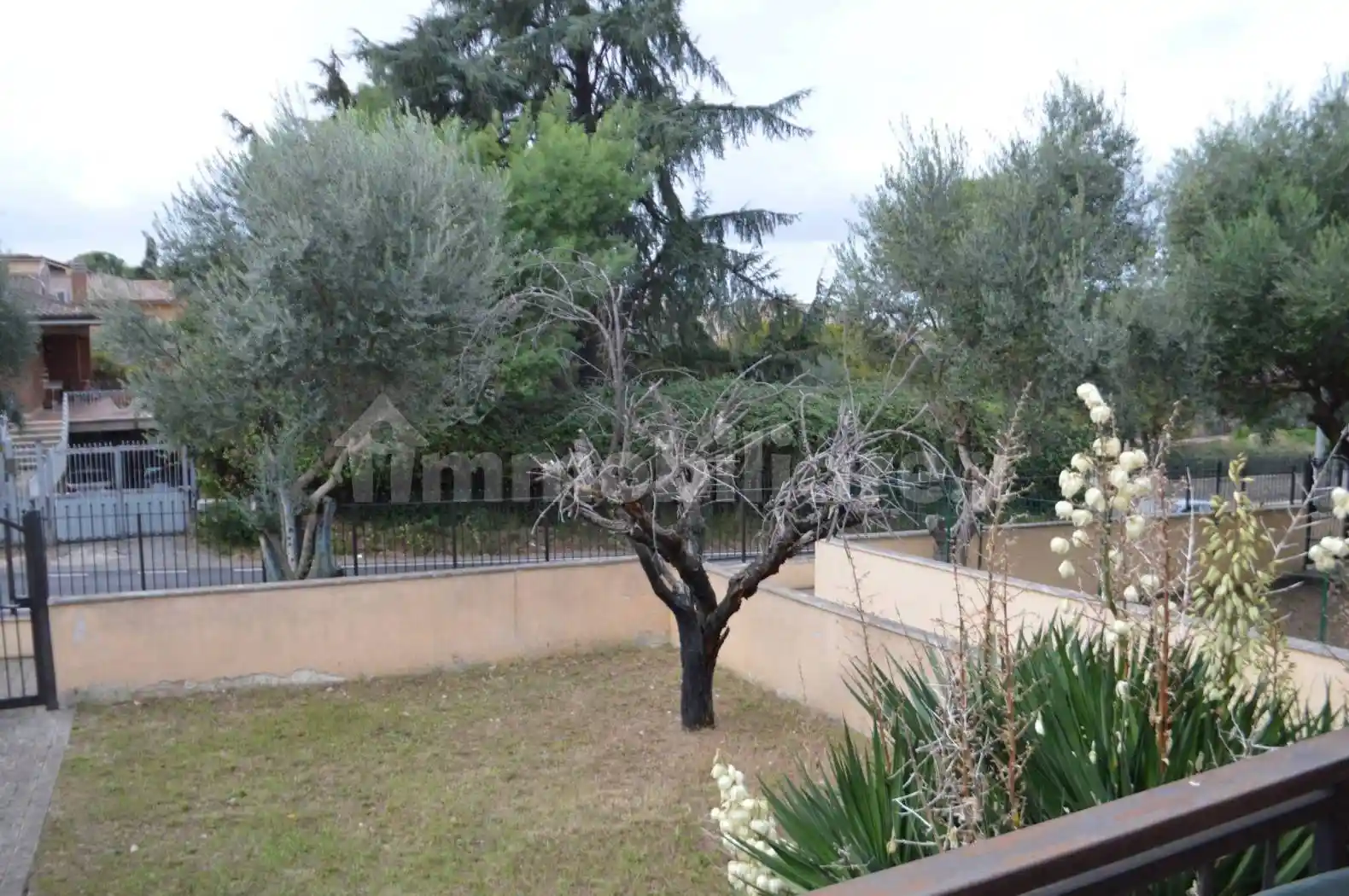 Appartamento in vendita a Frascati