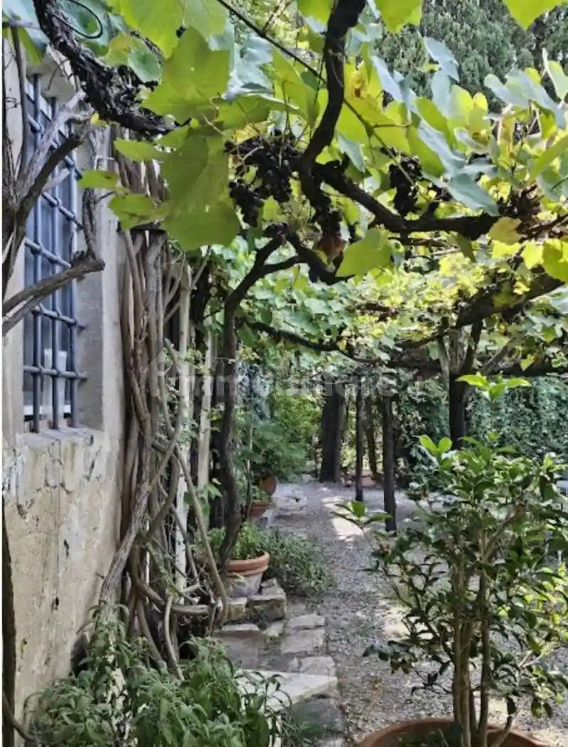 Villa unifamiliare, ottimo stato, 230 m², Capalbio - foto 4