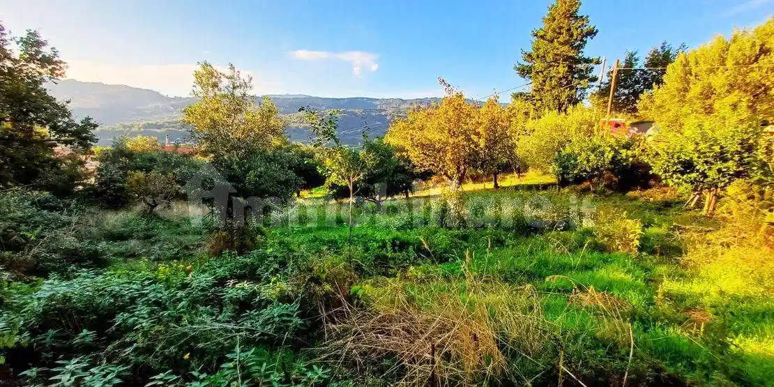 Quadrilocale Angilla, Cetraro - foto 4