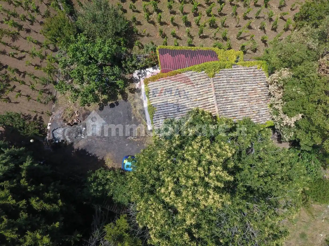 Rustico - Casale - foto 4