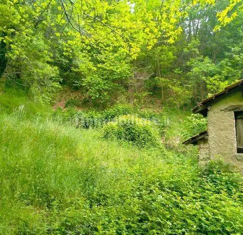 Rustico Piano Sottano, Piano Sottano, Bormida - foto 3