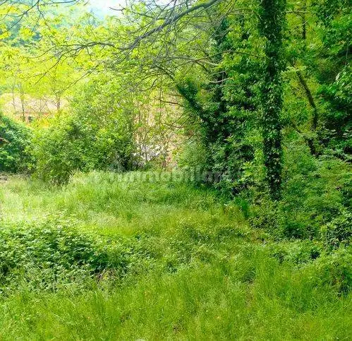 Rustico Piano Sottano, Piano Sottano, Bormida - foto 5