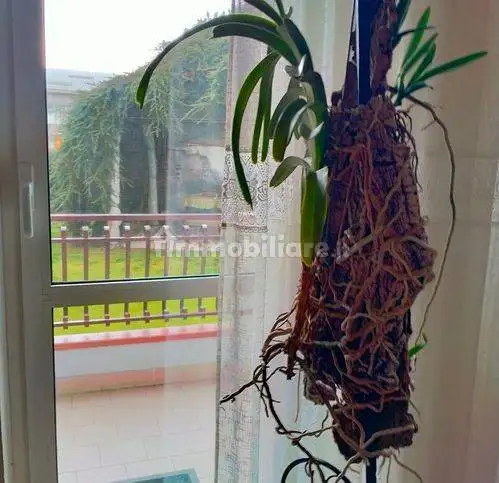 Quadrilocale Cairo, Centro, Cairo Montenotte - foto 4