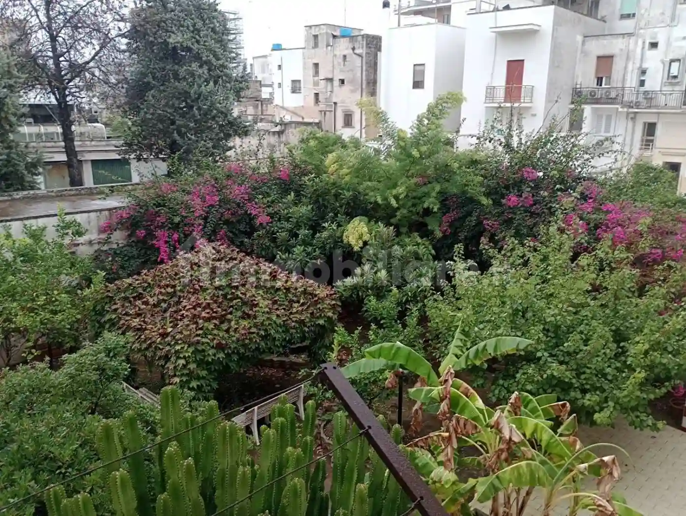 Palazzo - Edificio - foto 4