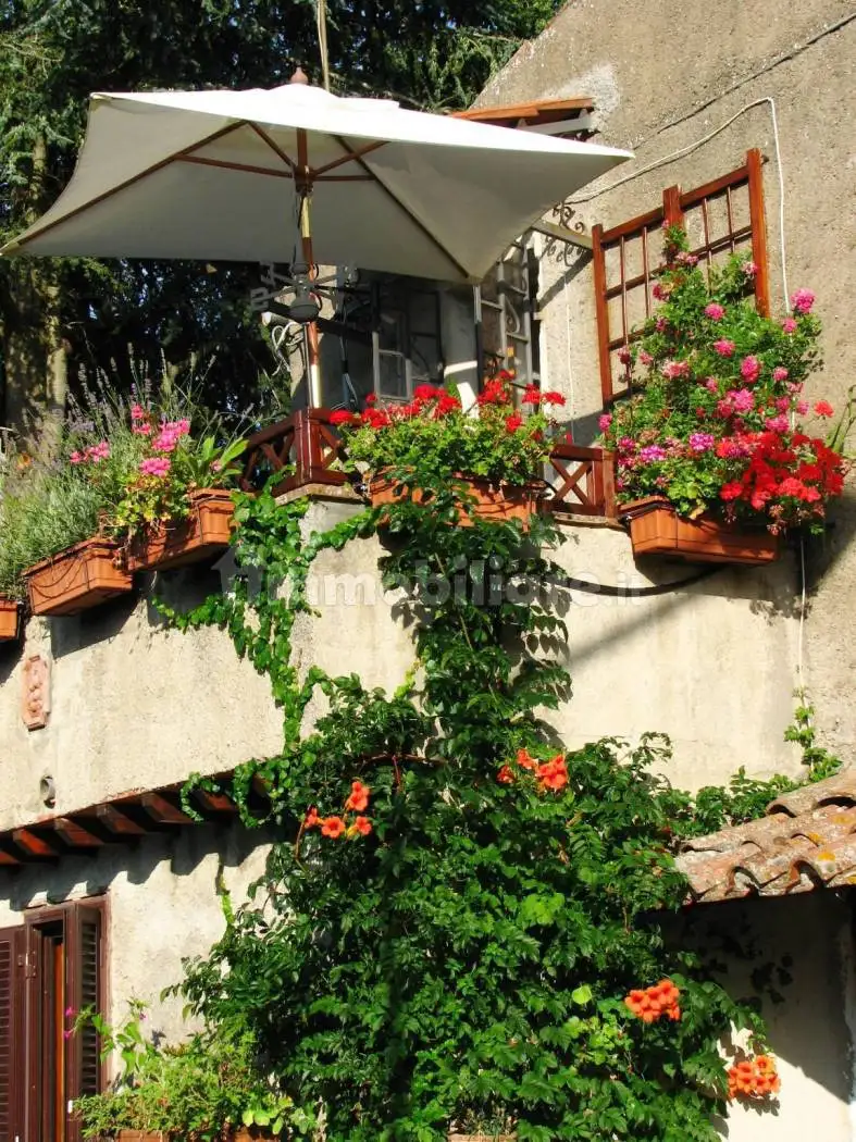 Casa indipendente in vendita a Proceno