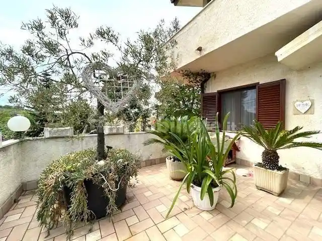 Terratetto unifamiliare Spoltore via dei Tigli, Spoltore - foto 4