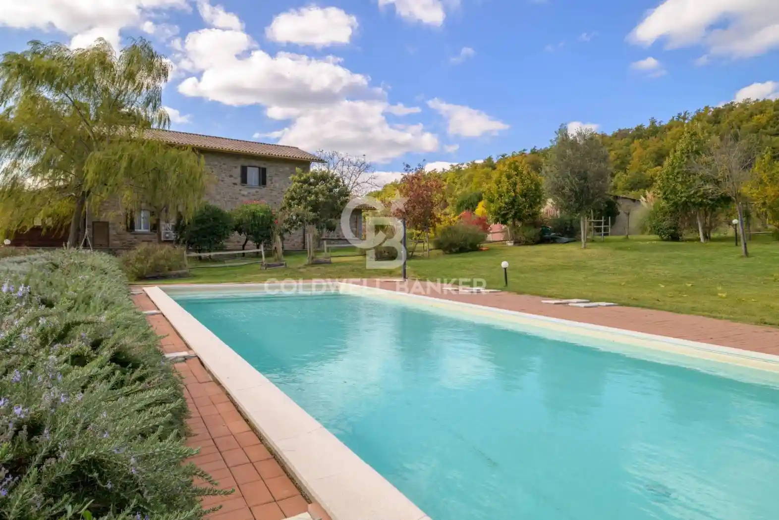 Rustico - Casale in vendita a Cortona