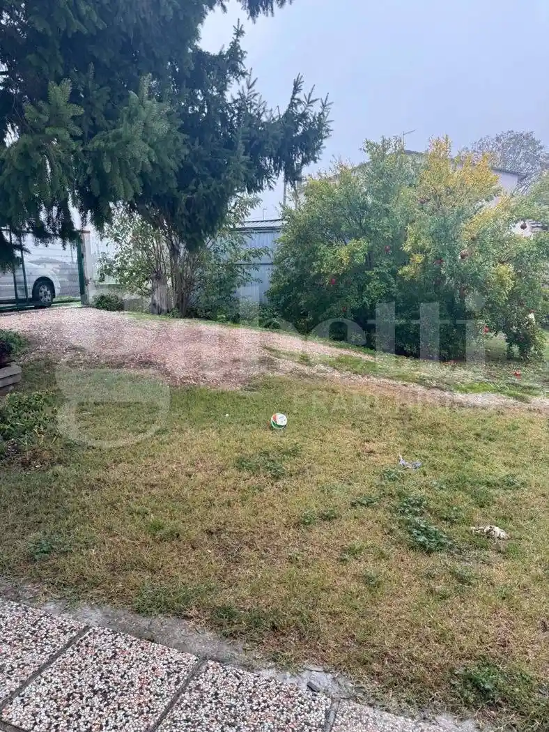 Terratetto unifamiliare VILLAMARZANA - via Gramsci, 00, Centro, Villamarzana - foto 3