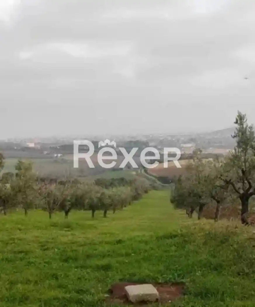 Villa unifamiliare Contrada Rio Moro, Corropoli - foto 4