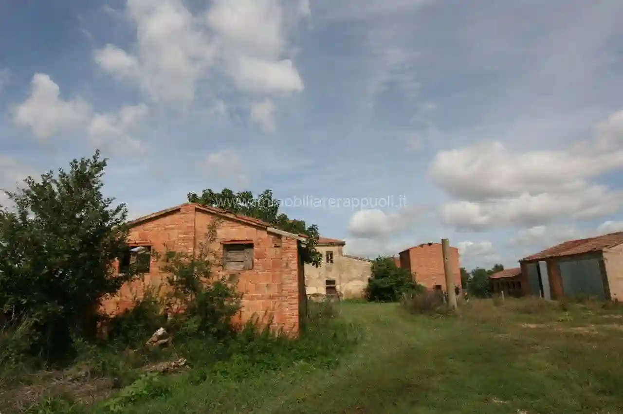 Rustico - Casale - foto 3