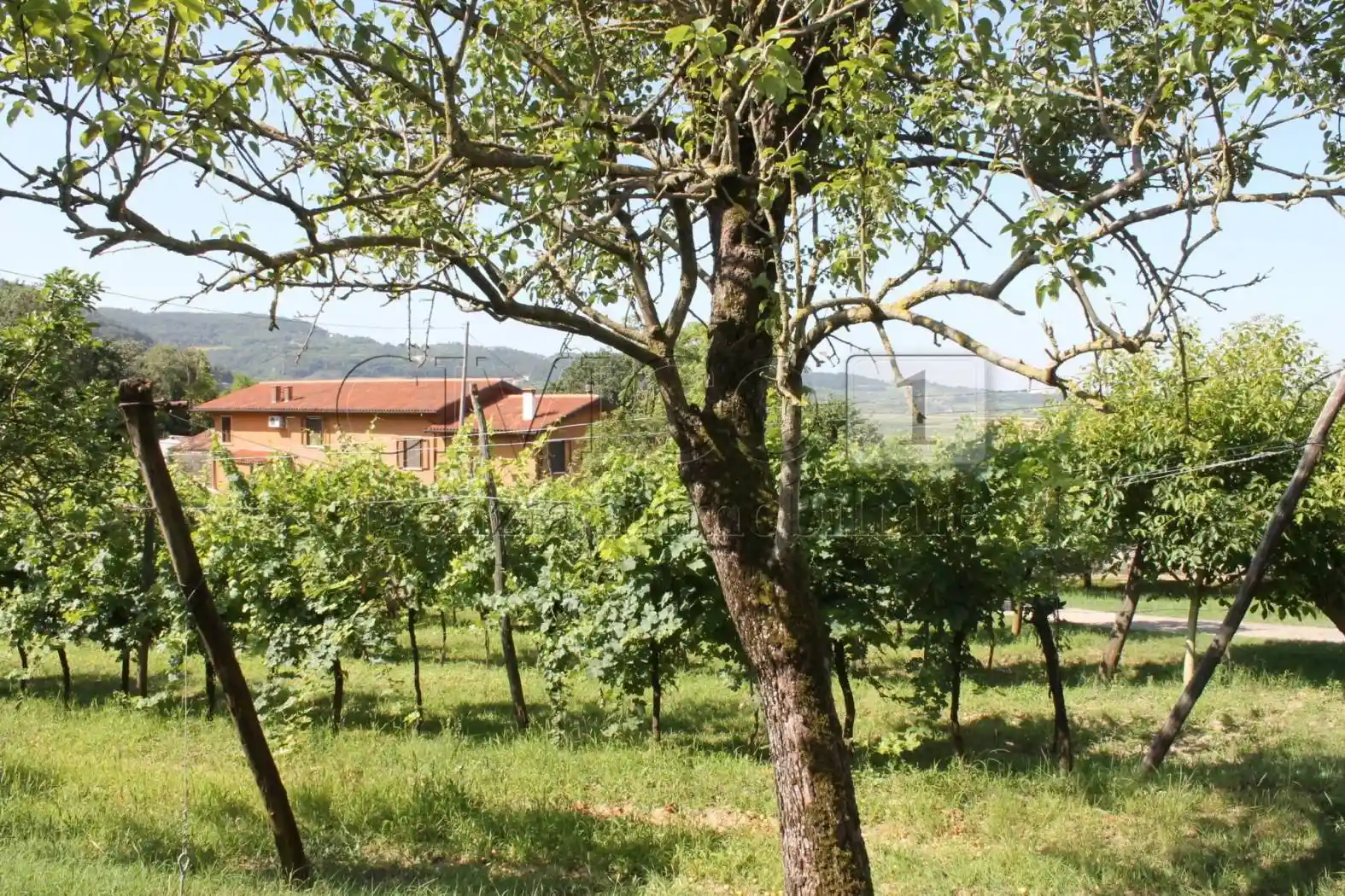 Villa unifamiliare, da ristrutturare, 273 m², Brendola - foto 2